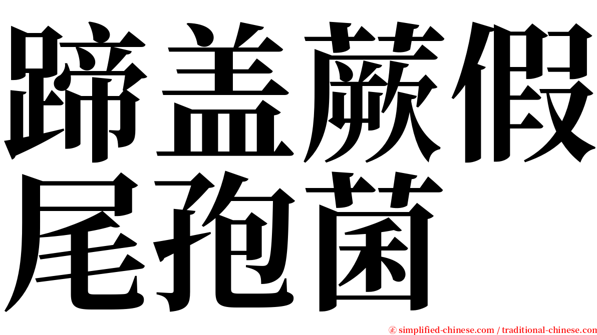 蹄盖蕨假尾孢菌 serif font