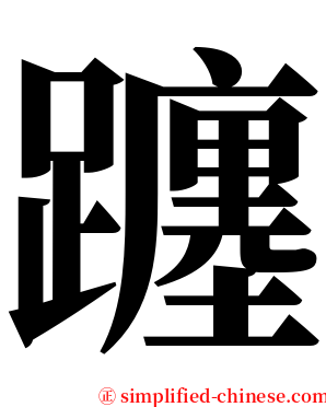 躔 serif font