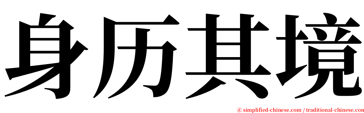 身历其境 serif font