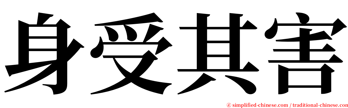 身受其害 serif font