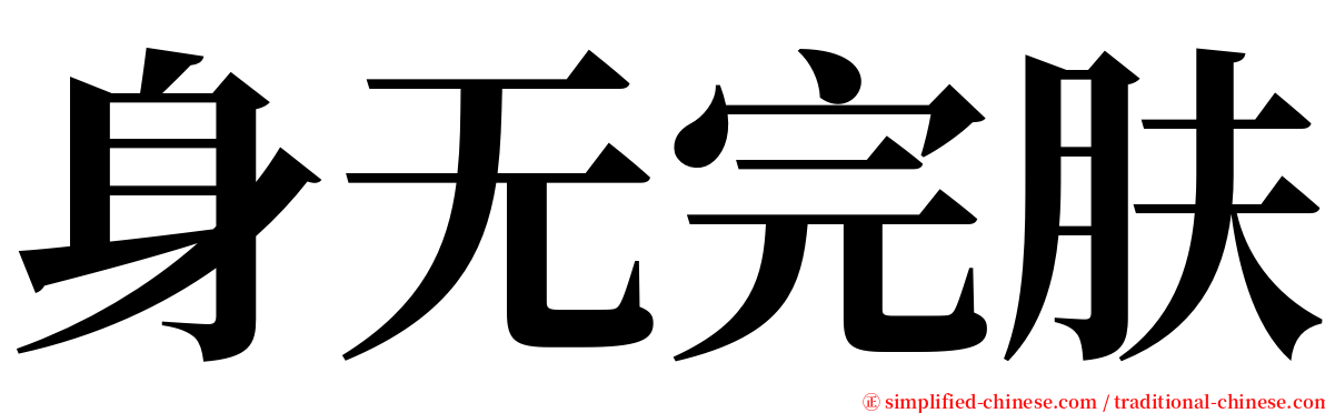 身无完肤 serif font