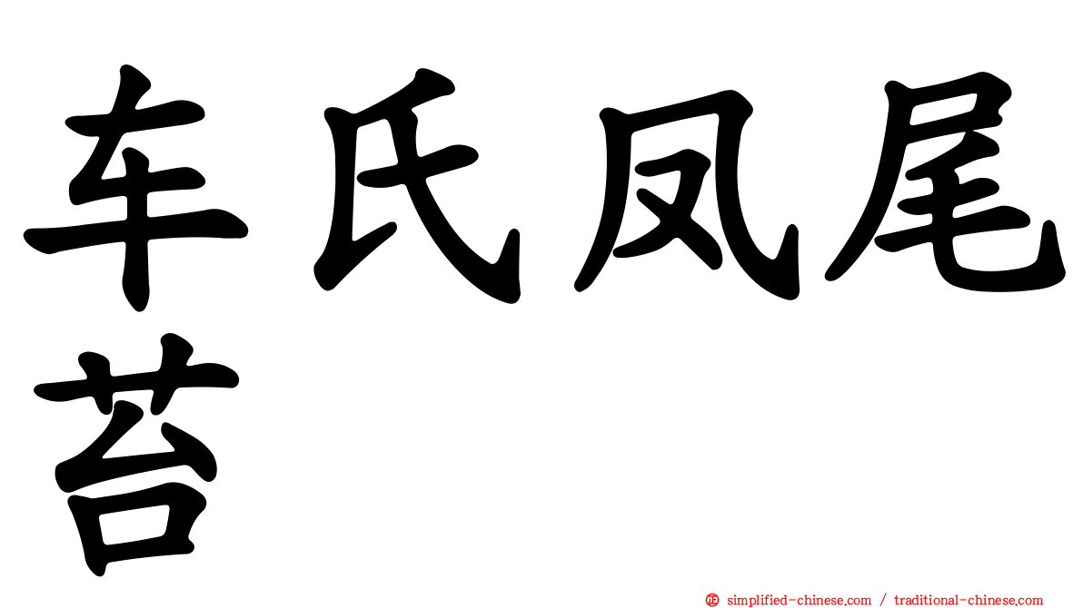 车氏凤尾苔