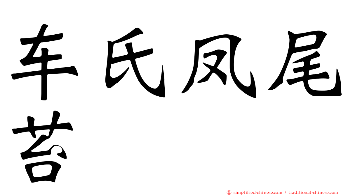 车氏凤尾苔