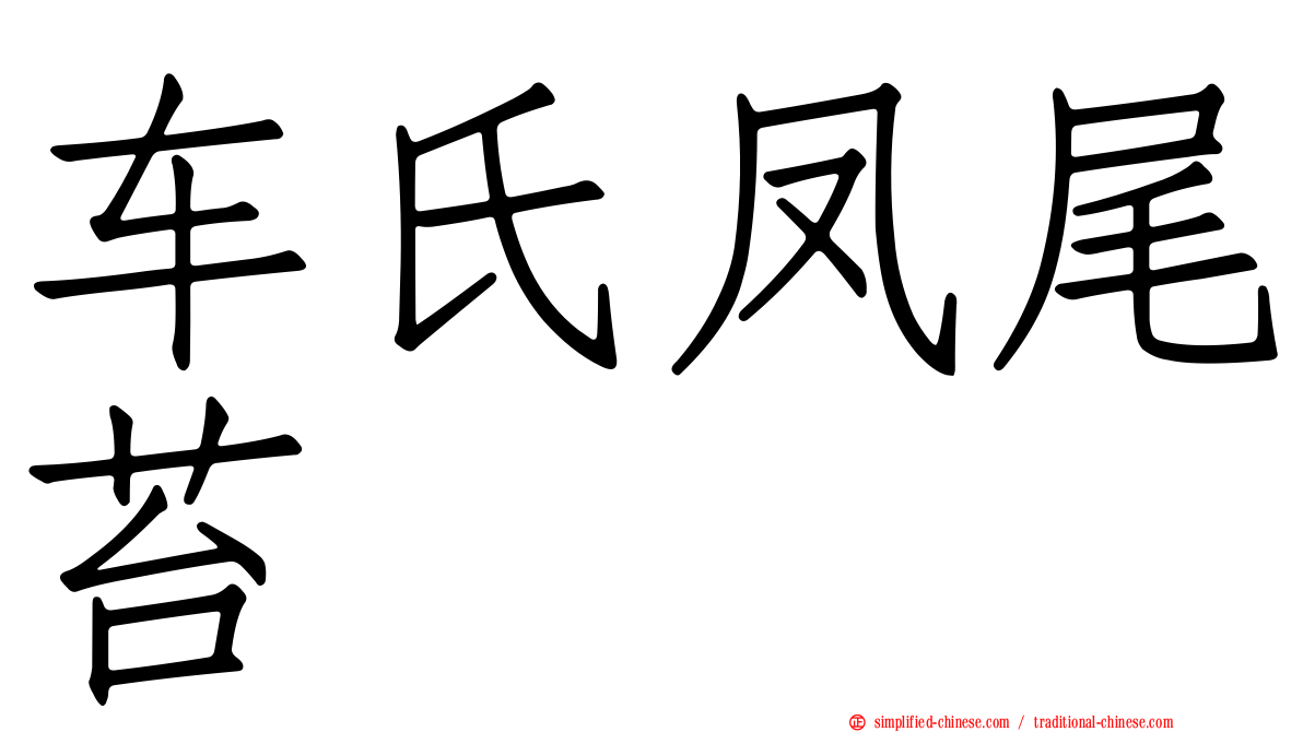 车氏凤尾苔