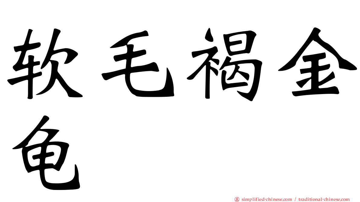 软毛褐金龟