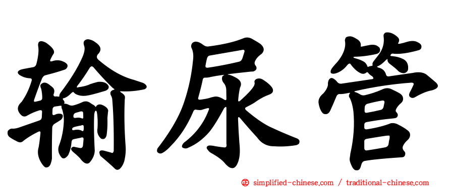 输尿管