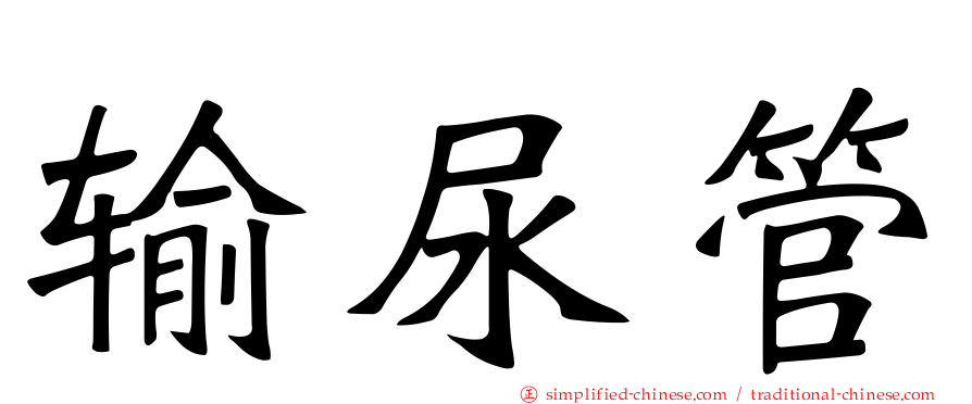 输尿管