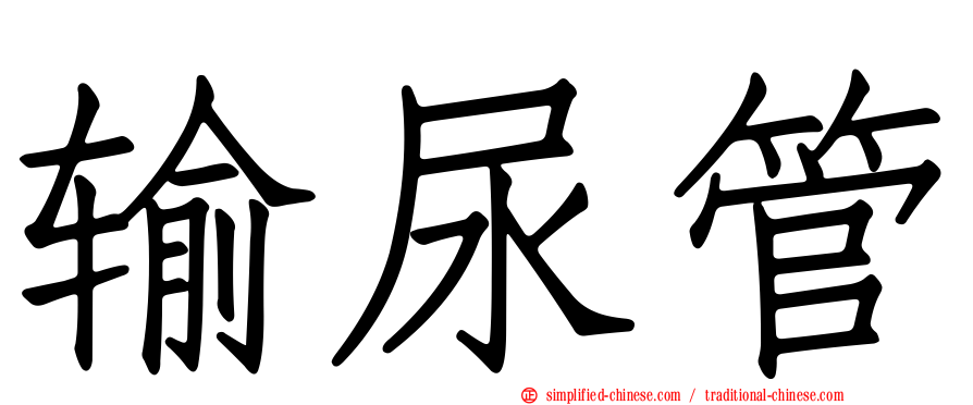 输尿管