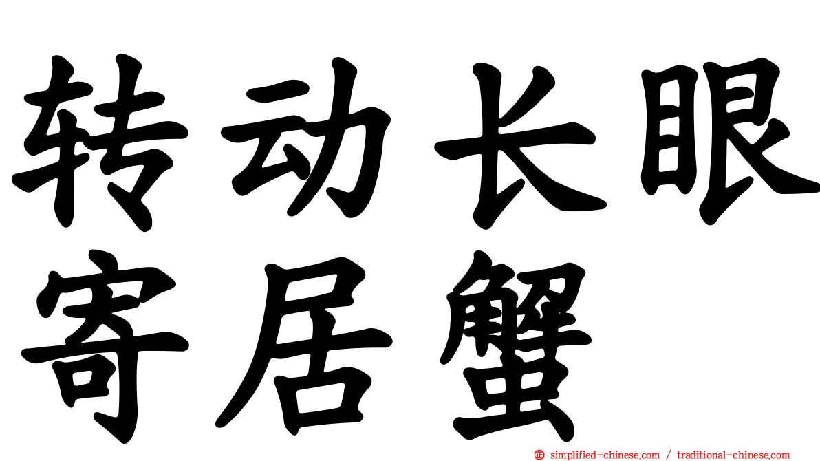 转动长眼寄居蟹