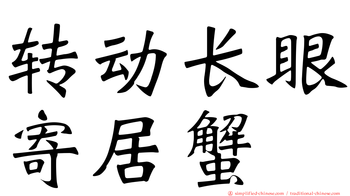 转动长眼寄居蟹