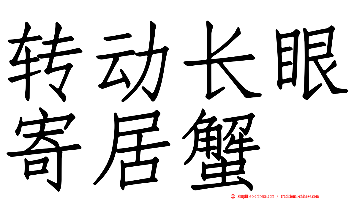 转动长眼寄居蟹