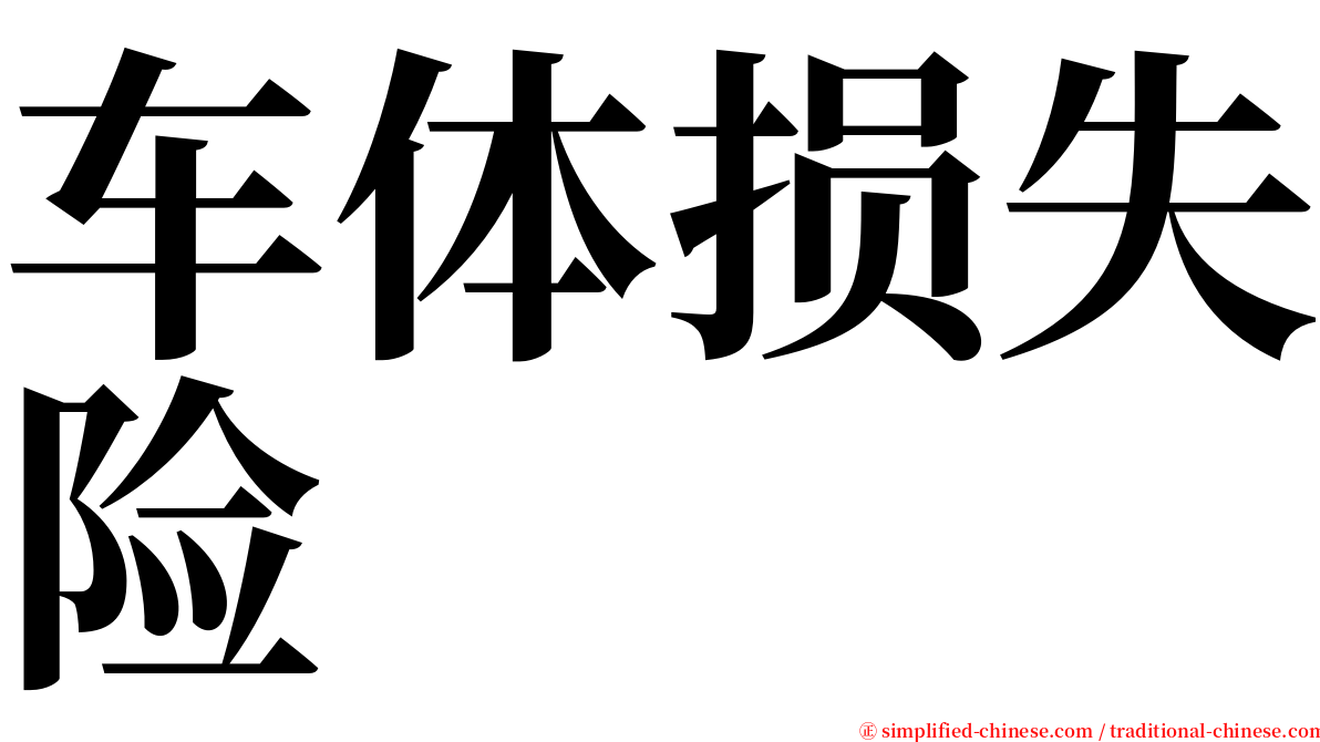 车体损失险 serif font