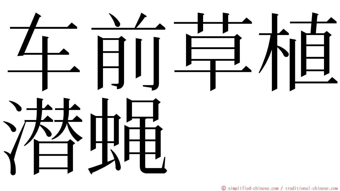 车前草植潜蝇 ming font