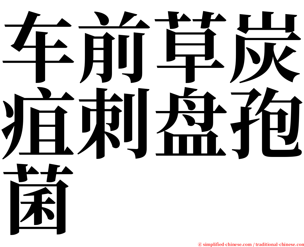 车前草炭疽刺盘孢菌 serif font