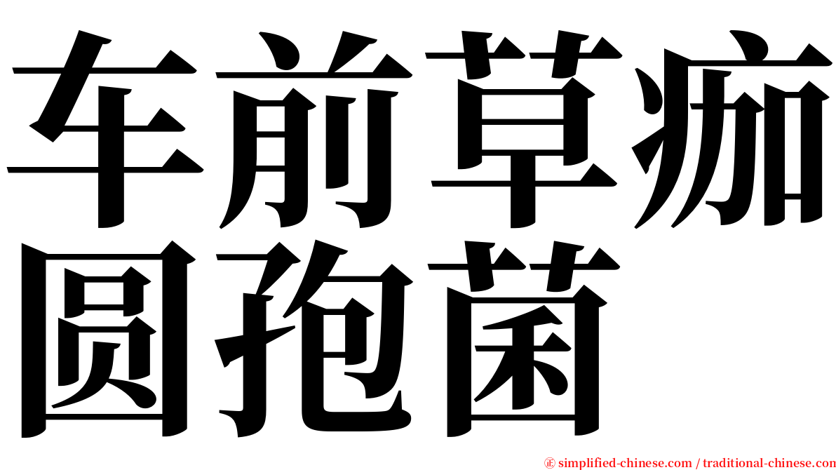 车前草痂圆孢菌 serif font