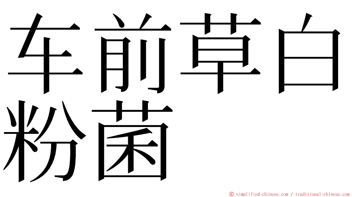 车前草白粉菌 ming font