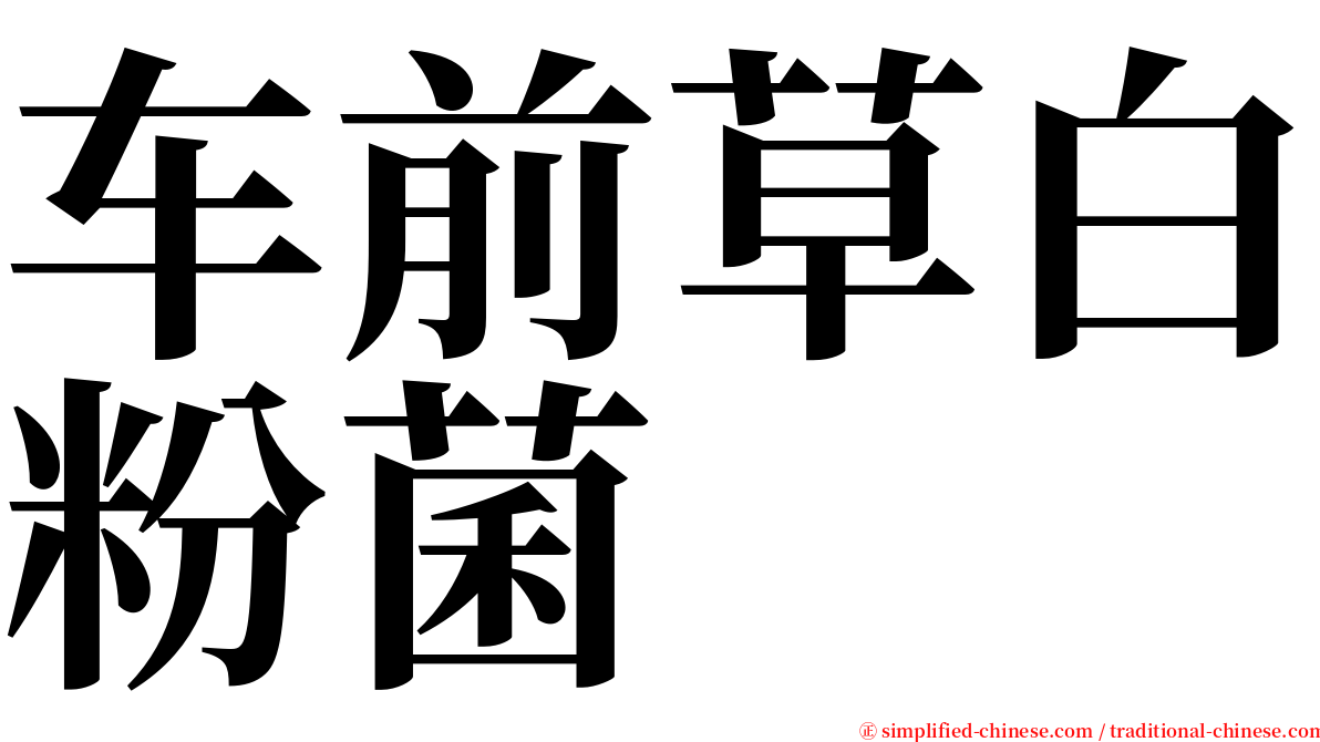 车前草白粉菌 serif font