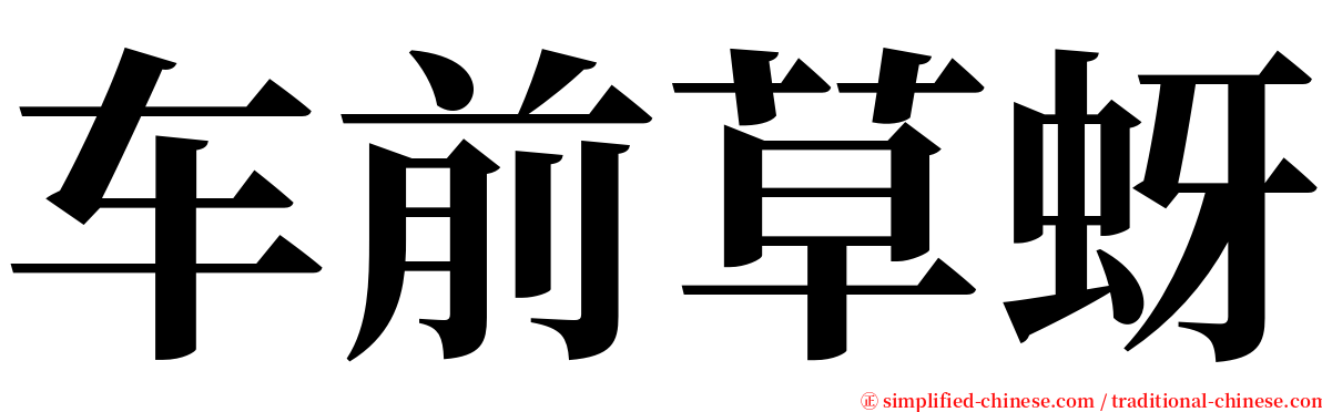 车前草蚜 serif font