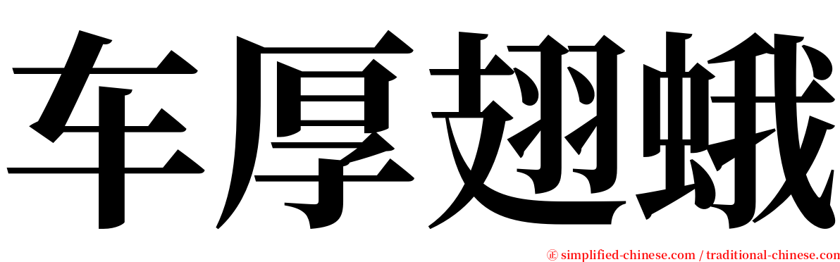 车厚翅蛾 serif font