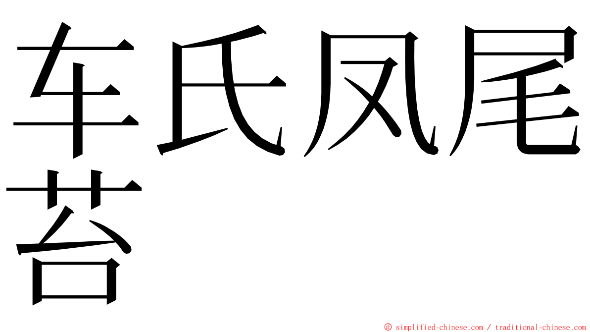 车氏凤尾苔 ming font