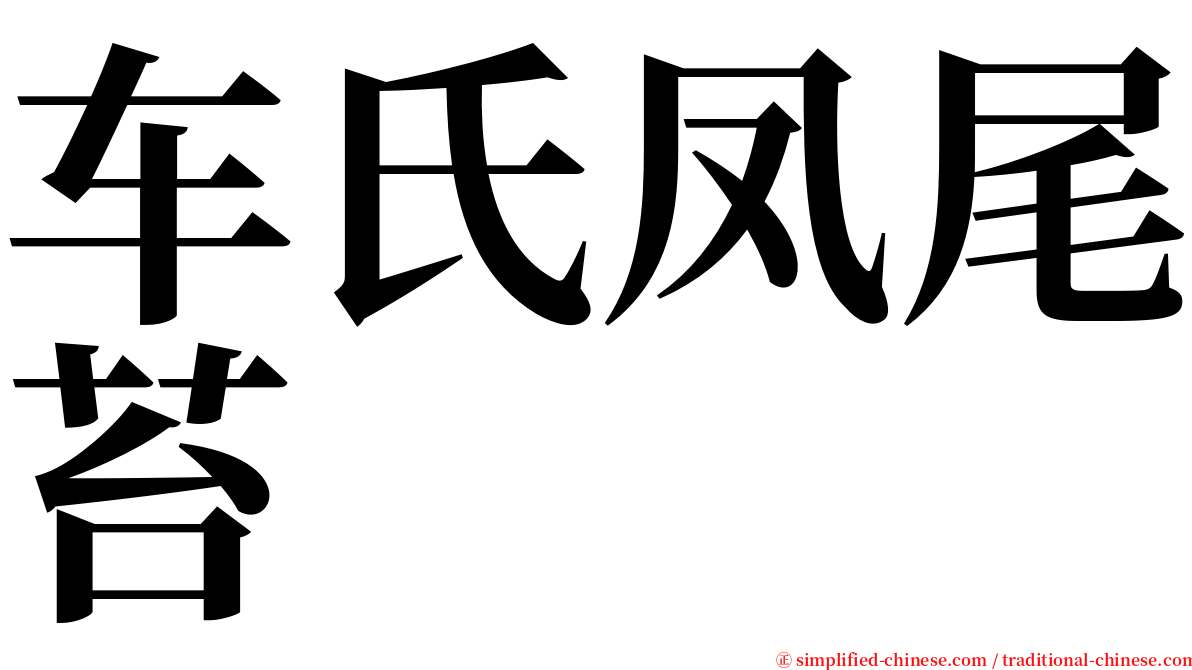 车氏凤尾苔 serif font