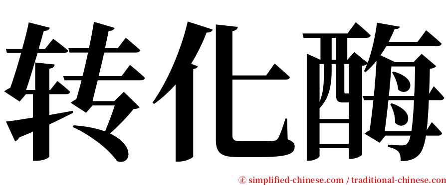 转化酶 serif font