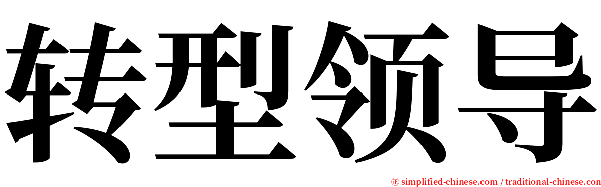 转型领导 serif font