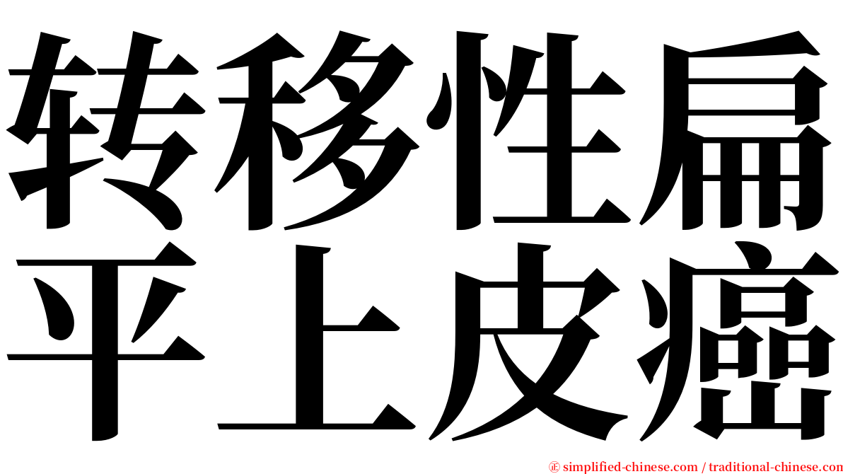 转移性扁平上皮癌 serif font