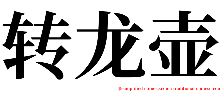 转龙壶 serif font