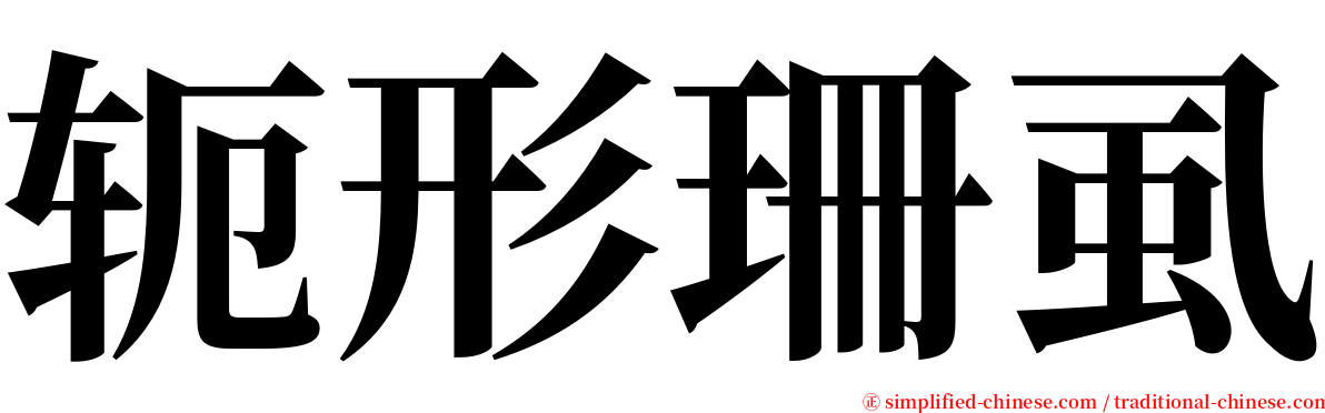 轭形珊虱 serif font