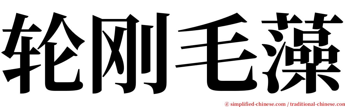 轮刚毛藻 serif font