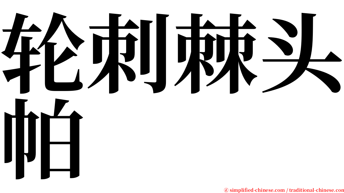 轮刺棘头帕 serif font