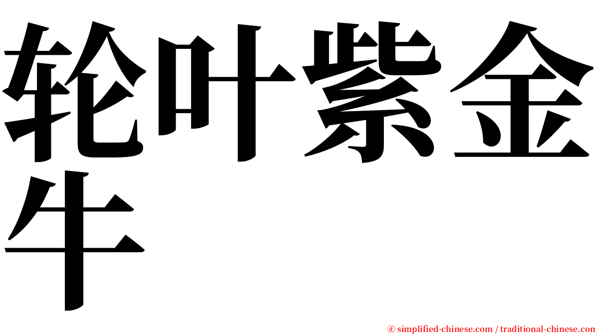 轮叶紫金牛 serif font