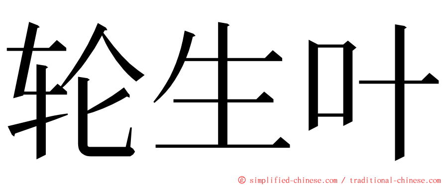 轮生叶 ming font