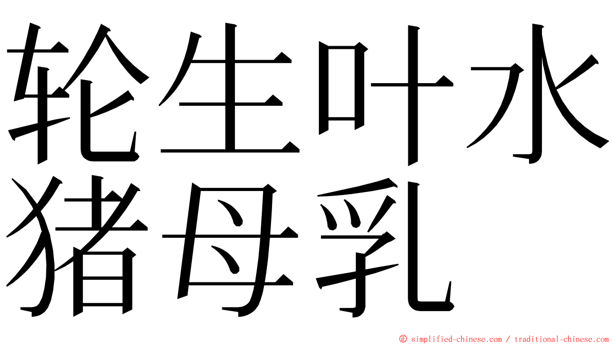 轮生叶水猪母乳 ming font