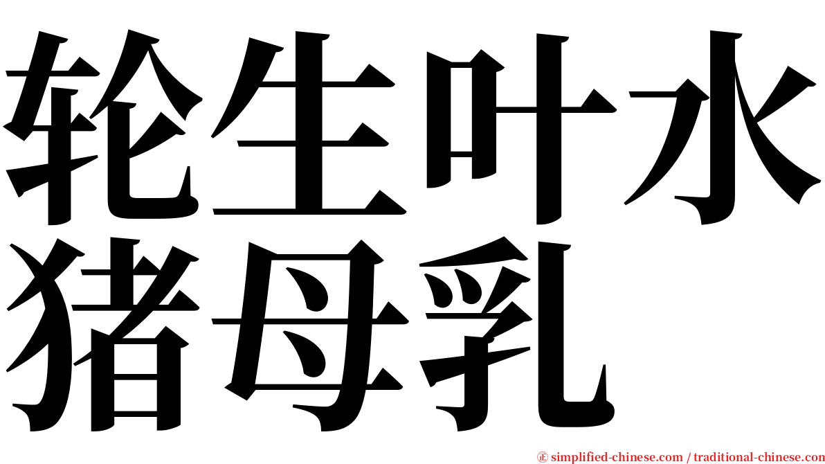 轮生叶水猪母乳 serif font