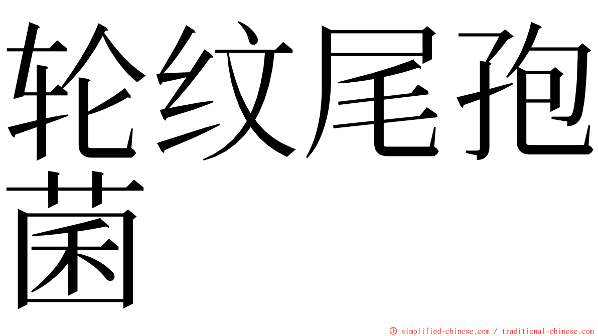 轮纹尾孢菌 ming font