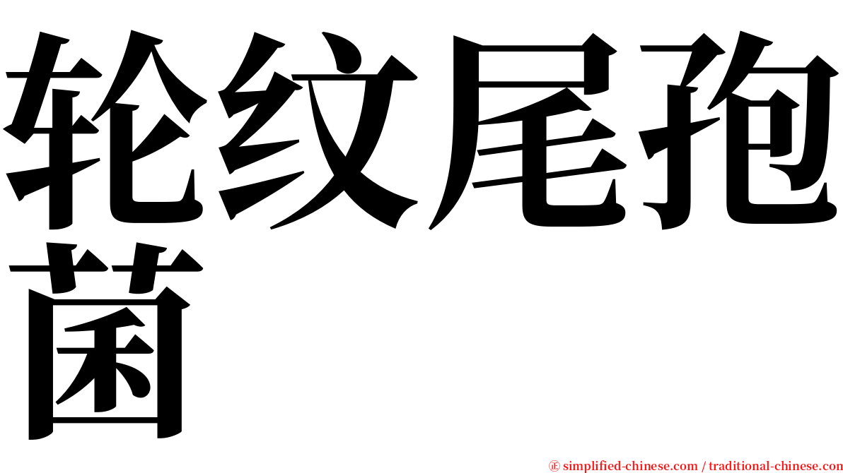 轮纹尾孢菌 serif font