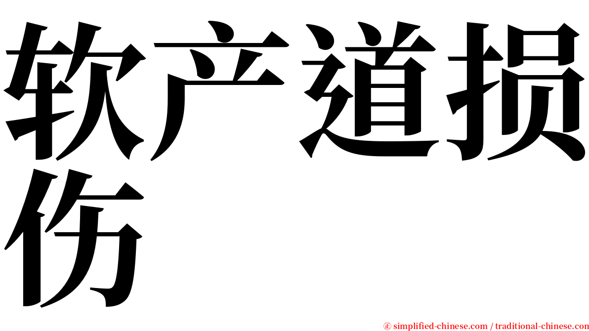 软产道损伤 serif font