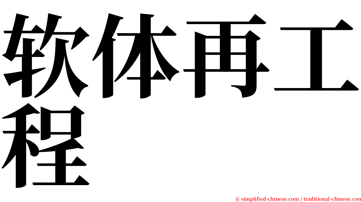 软体再工程 serif font