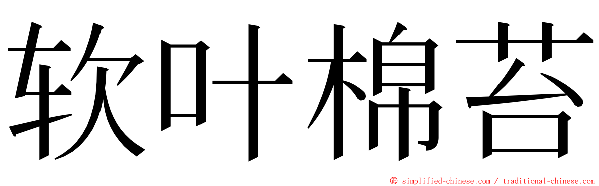 软叶棉苔 ming font