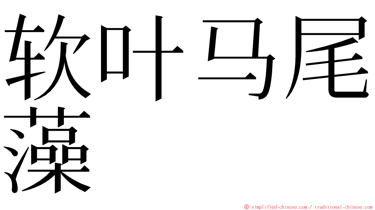 软叶马尾藻 ming font