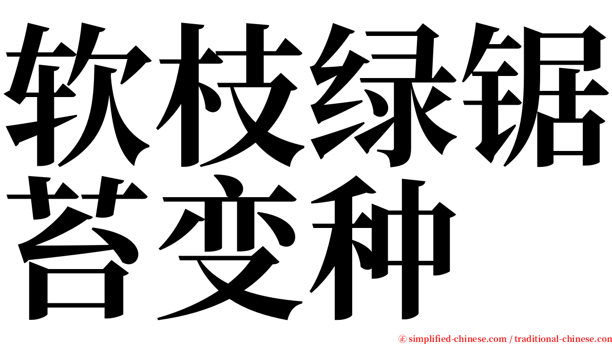 软枝绿锯苔变种 serif font