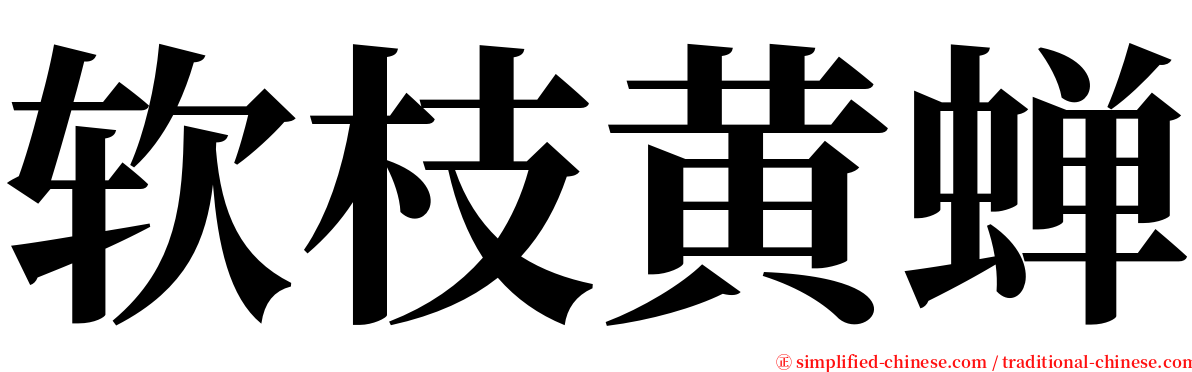 软枝黄蝉 serif font