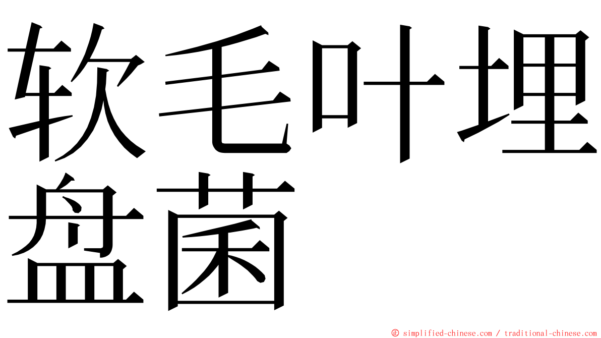 软毛叶埋盘菌 ming font