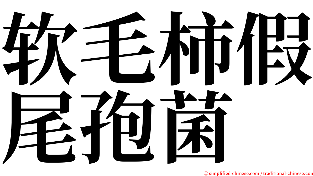 软毛柿假尾孢菌 serif font