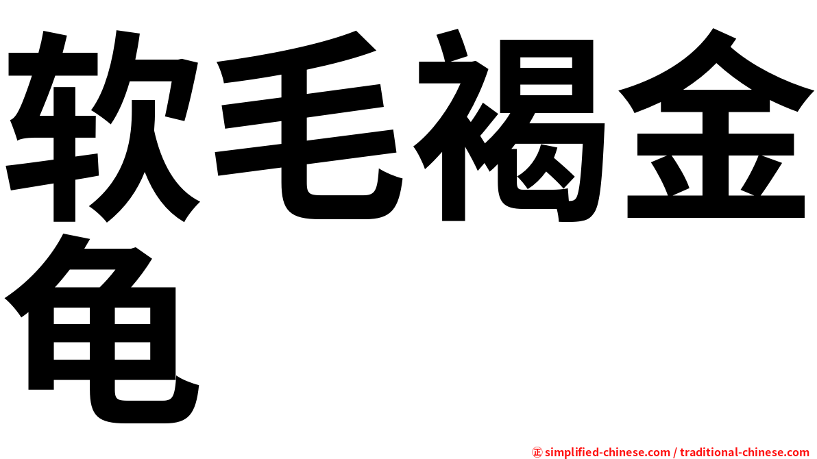 软毛褐金龟