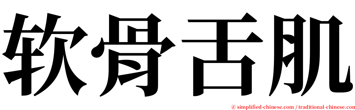 软骨舌肌 serif font