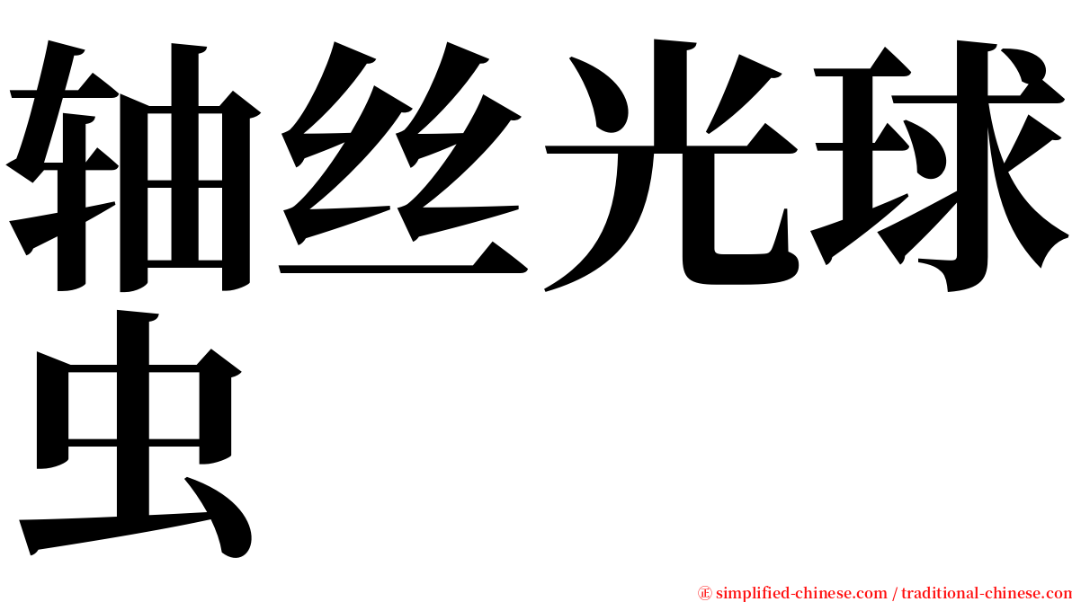 轴丝光球虫 serif font