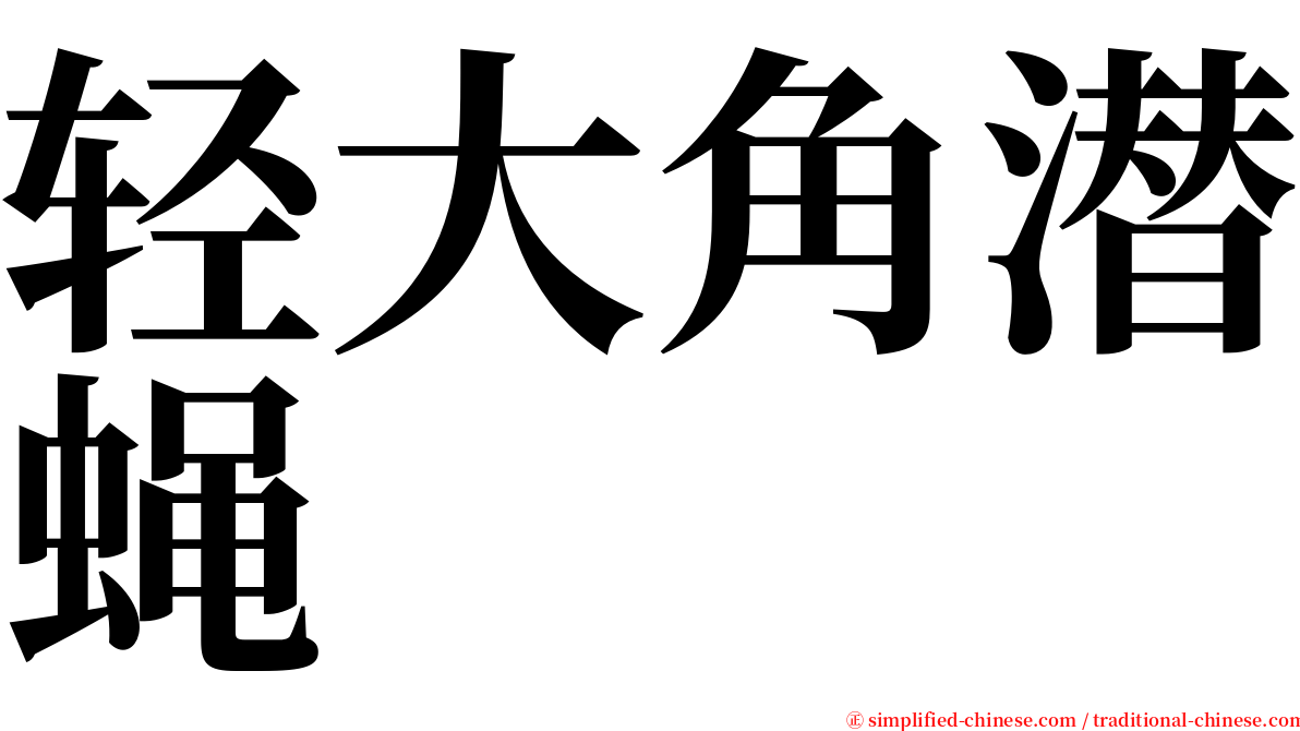 轻大角潜蝇 serif font